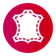 Ikona