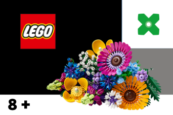 Lego 8+